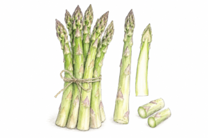 Asperge verte